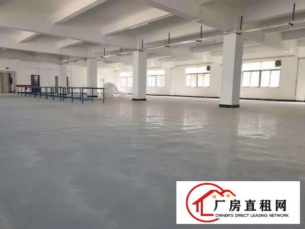  大量横岗独院厂房仓库出租1500-8000㎡