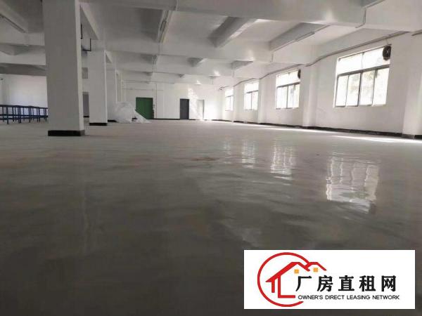  大量横岗独院厂房仓库出租1500-8000㎡