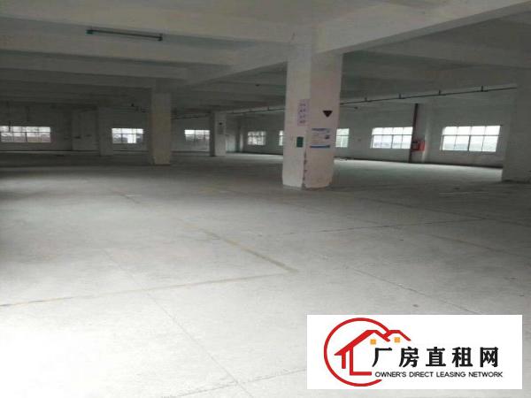  六约麻地街2号150至900平方厂房出租