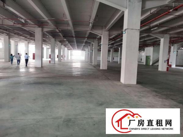  大量横岗仓储物流园出租1000-50000㎡