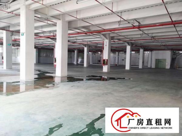  大量横岗仓储物流园出租1000-50000㎡