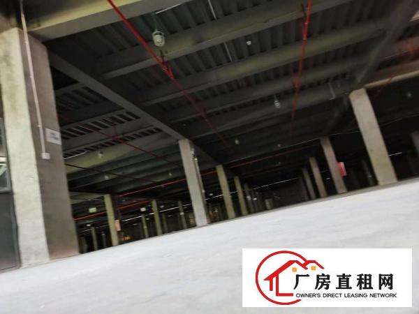  大量横岗仓储物流园出租1000-50000㎡