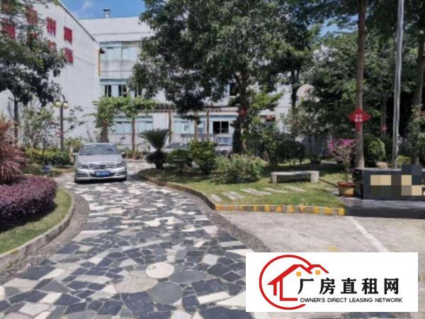  横岗六约红本花园式独院厂房招租（物业直租）
