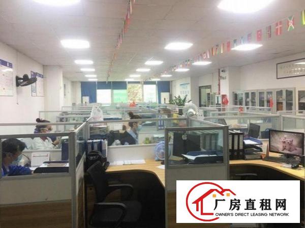  横岗安良整层2500平豪华装修厂房出租，房东直租！
