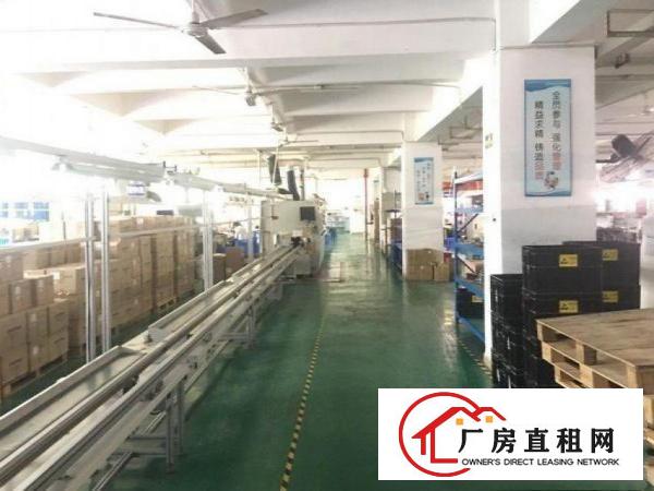  横岗安良整层2500平豪华装修厂房出租，房东直租！