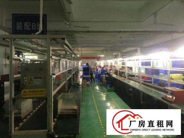 横岗安良整层2500平豪华装修厂房出租，房东直租！