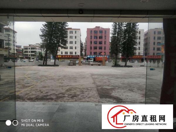  横岗地铁口村委独门独院办公大楼3600平无公摊企业总部，教育