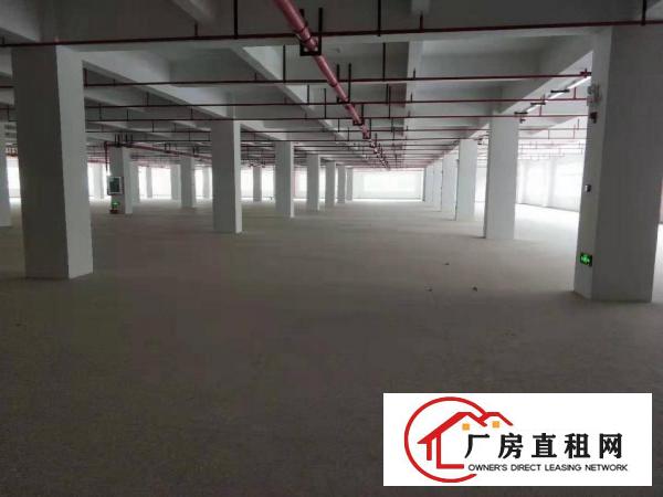  荷坳工业区一楼1200平原房东无公摊，非常适合仓库厂房