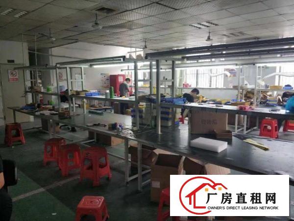  六约3楼260平6楼320平电子厂转让。