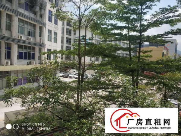  横岗大康标准厂房三楼带电梯1200平招租