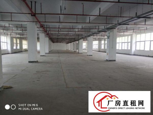  横岗大康标准厂房三楼带电梯1200平招租