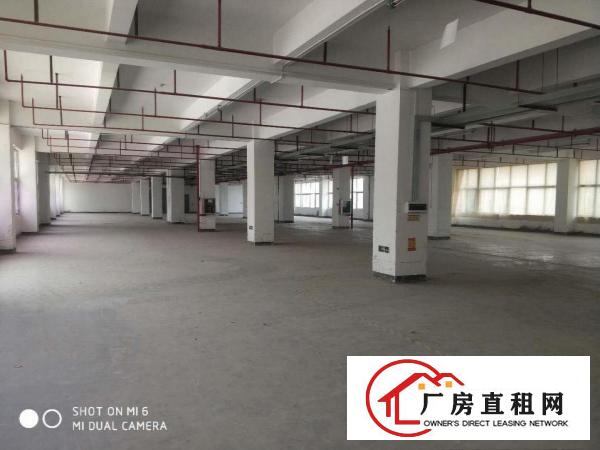  横岗荷坳地铁站附近新出厂房面积2000平米出租大小可以随意分