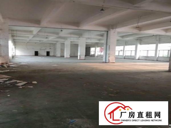  横岗带装修一楼厂房1000平方，可分租500平方