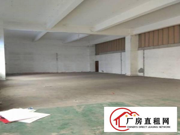  横岗带装修一楼厂房1000平方，可分租500平方