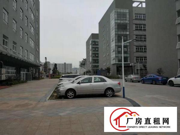  荷坳坳背一楼2000平方空地超大适合各仓库生产