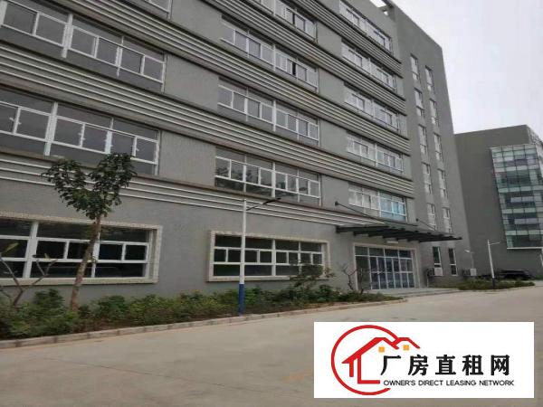  荷坳坳背一楼2000平方空地超大适合各仓库生产