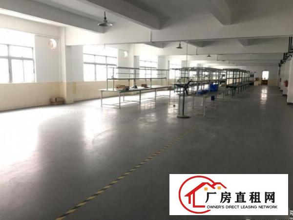  横岗地铁站电商办公室仓库280平方出租