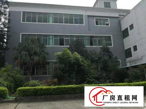  横岗地铁站电商办公室仓库280平方出租