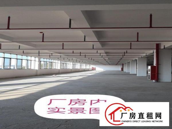  横岗全新独院厂房（红本）