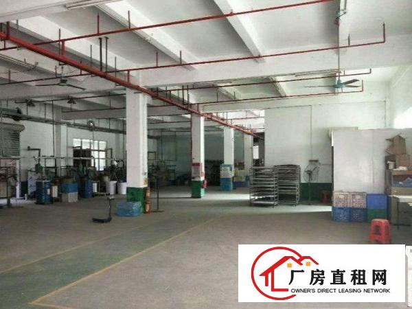  横岗四联社区1楼厂房500平！有地坪漆