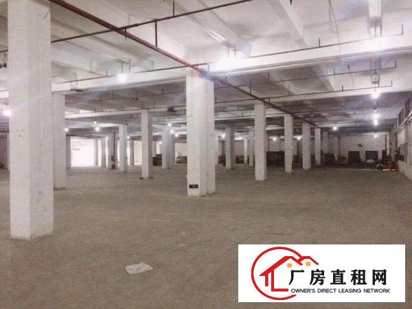  原房东1楼厂房仓库3000平米可分租