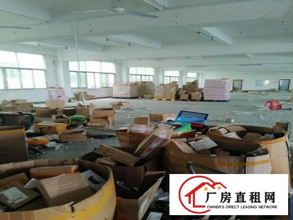  横岗四联1150平方带装修厂房出租无转让费