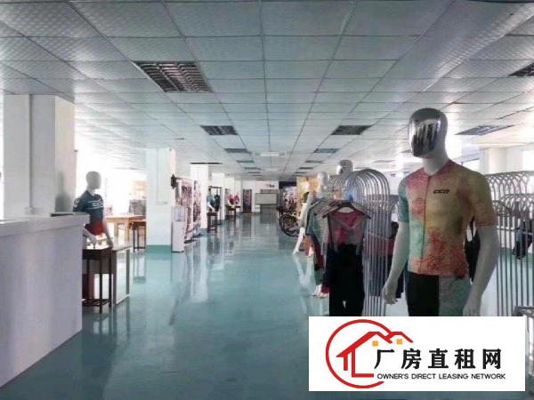  横岗六约带装修厂房出租