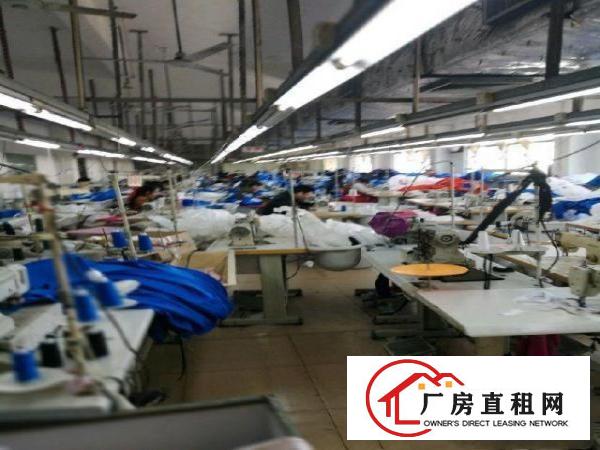  横岗西坑锦泰百货650平米原房东厂房出租