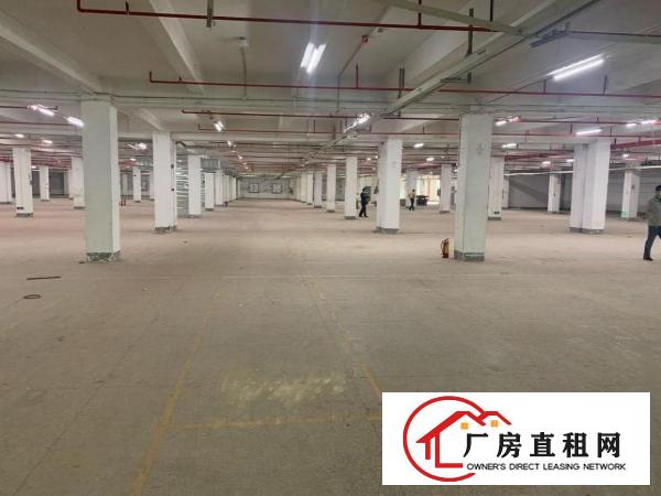  横岗独立工业园，有环评，有红本，原房东。