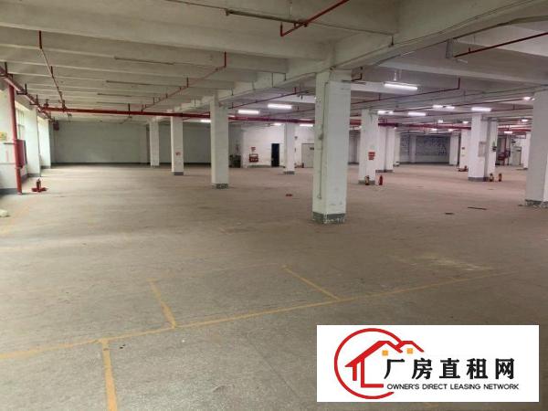  横岗独立工业园，有环评，有红本，原房东。