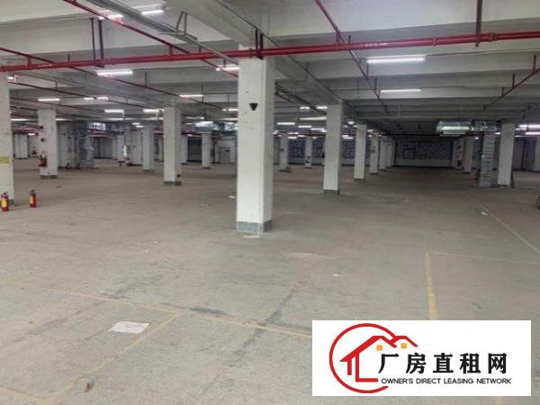  横岗独立工业园，有环评，有红本，原房东。