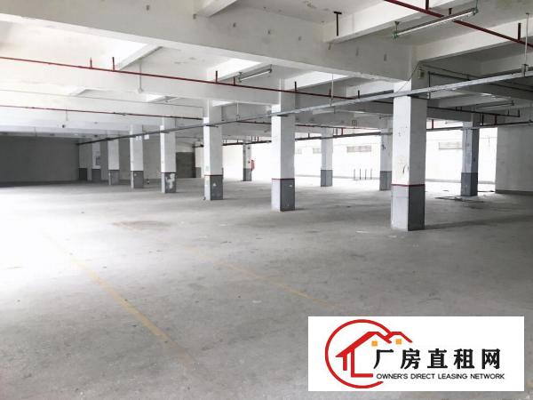  安良新出楼上850平半层原房东厂房出租公摊小合同长价格便宜