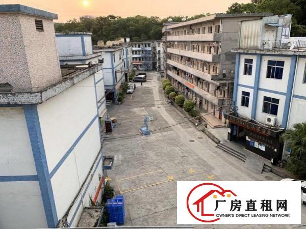  布吉丹竹头独院厂房2580平出层可分层租