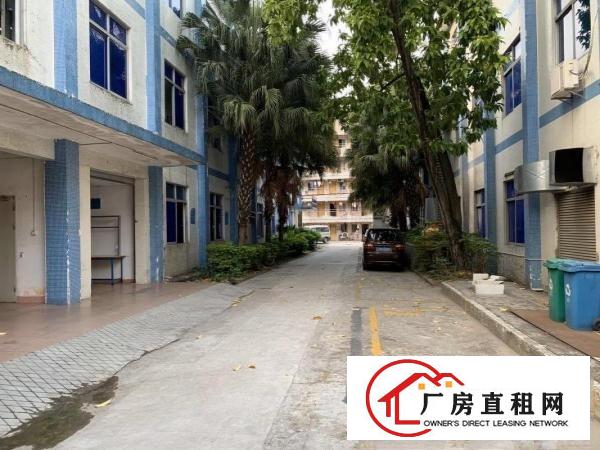  布吉丹竹头独院厂房2580平出层可分层租