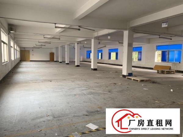  布吉丹竹头独院厂房2580平出层可分层租
