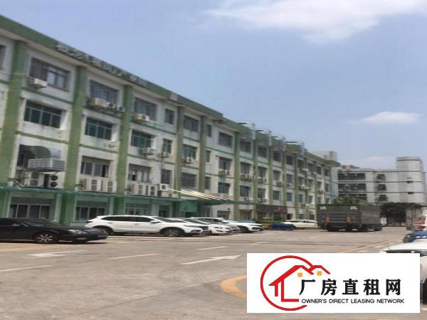  横岗地铁口.小户型110平米，精装修出租