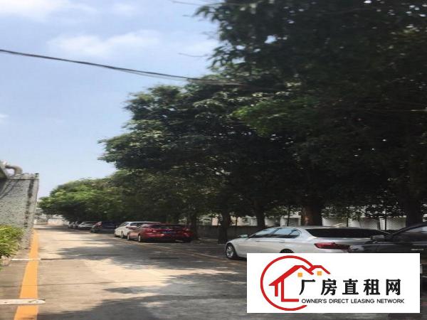  横岗地铁口.小户型110平米，精装修出租