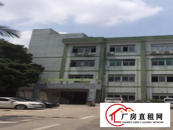  横岗地铁口.小户型110平米，精装修出租