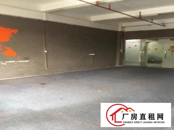  横岗地铁口.小户型110平米，精装修出租