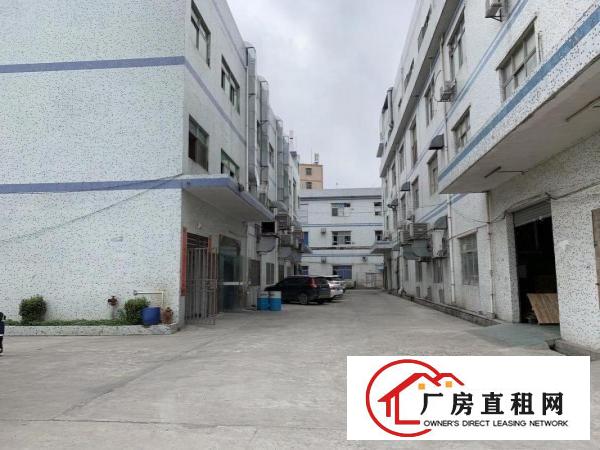  大康1300平方三楼厂房带装修出租现成眼镜厂