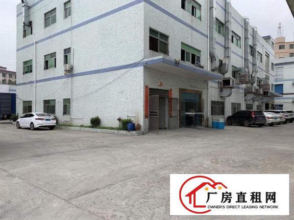  大康1300平方三楼厂房带装修出租现成眼镜厂