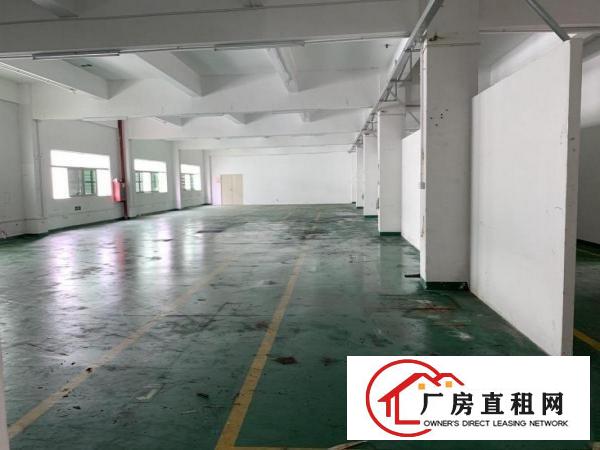  大康1300平方三楼厂房带装修出租现成眼镜厂
