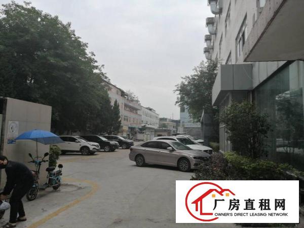  横岗安良新出楼上带装修整层1680平出租
