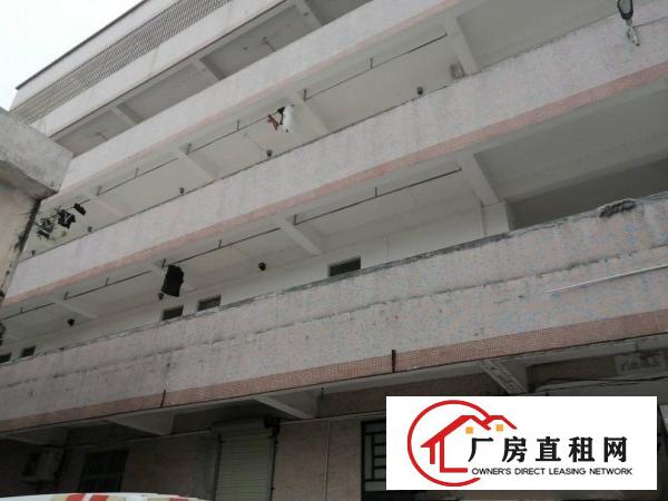  横岗安良新出楼上带装修整层1680平出租