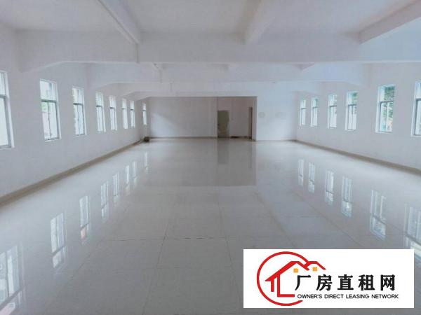  深圳市龙岗大道边，地铁口900米，原房东自有小独栋厂房招租