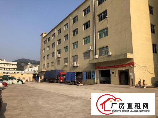  六约现成装修珠宝厂房600平米出租