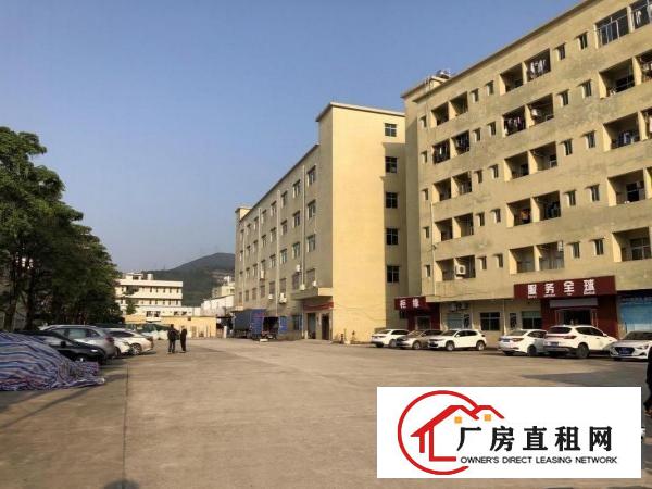  六约现成装修珠宝厂房600平米出租
