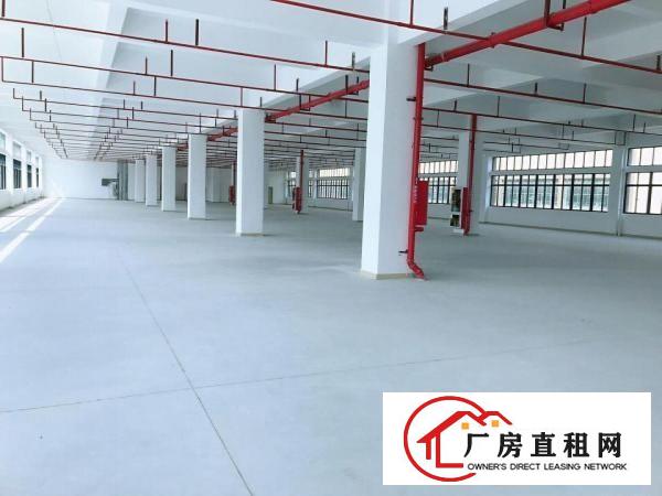  横岗大康新出一楼1400平厂房可进大车可生产可仓储层高5.5