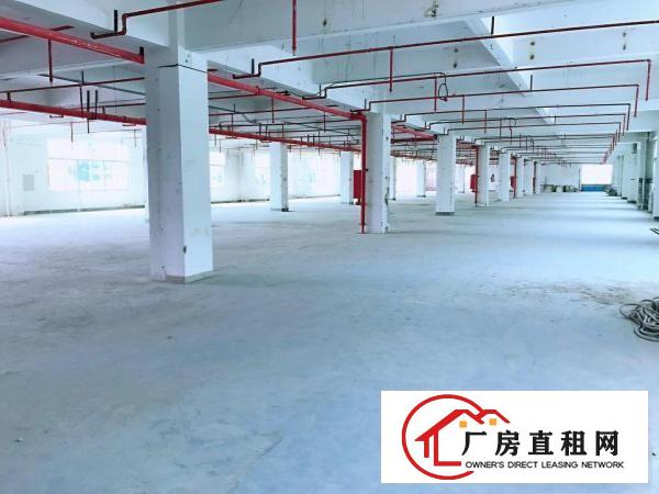  横岗大康新出一楼1400平厂房可进大车可生产可仓储层高5.5