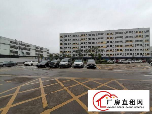  原房东横岗带红本厂房，大小分租，空地超大